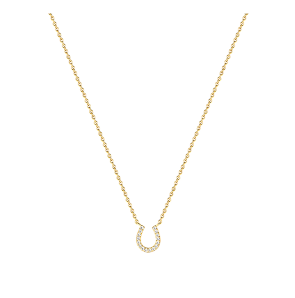 Micro Pave Horseshoe Drop Necklace